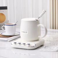 施耐德(Schneider) 暖暖杯 便携式养生杯多功能电炖杯 SWK-XNBL01 0.3L