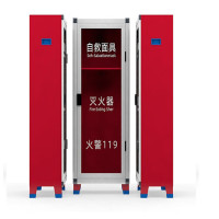 星浙安星二代系列灭火器箱干粉5KG*2+防毒面具*2消防展示柜组合装空箱