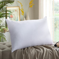 罗莱 谧安枕 轻盈无压力 享受云端睡眠体验