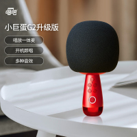 唱吧 G2升级版小巨蛋麦克风