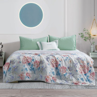 富安娜(FUANNA) 七孔抗菌印花夏被-花繁叶盛 RJ-F03