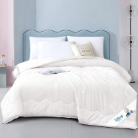 迪士尼(DISNEY) 蓝迪乐眠被冬被 DDM16-2023B 200x230cm