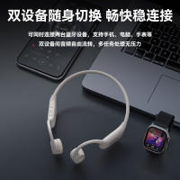 飞利浦(PHILIPS)TAA6609C 骨传导蓝牙耳机(32G内存款)蓝色