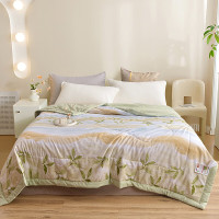 洁丽雅(grace) 艾茵入梦被 200cm*230cm