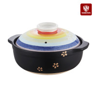 诺顿(NORTON)雪樱彩虹陶土锅 3TXYCH2100