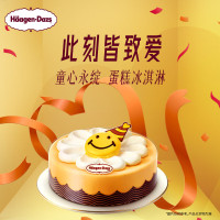 哈根逹斯(HAAGEN-DAZS) 520g/6寸 童心永绽蛋糕礼盒