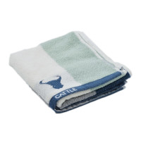 鲸轩 M501 35*73cm 95g 岁月童话毛巾( 计价单位:条 )蓝色