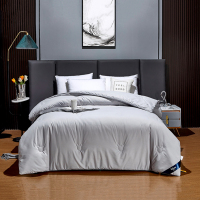 迪士尼(DISNEY) DDM02-2023A 中纺超声波抑菌羊毛被 200*230cm