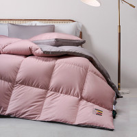 金丝莉莱茵河畔羽绒被JB-1511