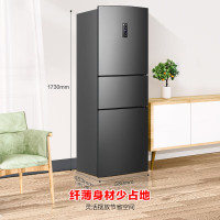 容声BCD-252WD18NP 252升一级能效三开门电冰箱小户型家用风冷无霜节能变频