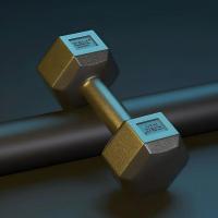 中锐智采 哑铃糜岚 单只20斤