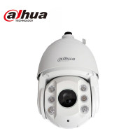 大华 6英寸网络球机1080p高清智能防水户外摄像头23倍变焦 DH-SD6223-D2-i