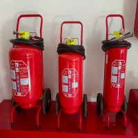 龙雹(LONG BAO) 35kg 手推灭火器