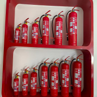 龙雹(LONG BAO) 3L水基灭火器