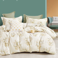 芳恩(faunen) TH-Z1037(A)星享全棉四件套 水木年华