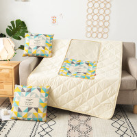 芳恩(faunen) FN-R742 数码印花亚麻抱枕被 现代派