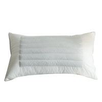 芳恩(faunen) FN-R7012全棉荞麦羽丝枕