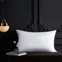 啄木鸟(plover) ZMN-ZX004 酒店羽绒枕-单只