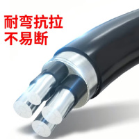 中锐智采 蓝帕铝合金电缆 YJLHV3*120mm²