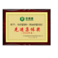 中锐智采 奖牌 先进集体奖 40cm*60cm