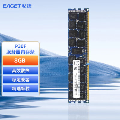 忆捷(EAGET)服务器内存P30F-8G PC4 2666 2933 3200 DDR4 ECC REG