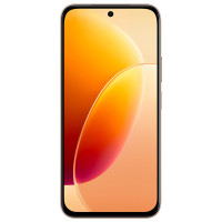 VIVOY500i全网通(8+256G) 凤迎金