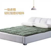 罗莱 LY157 可折叠 床垫 床褥 200*150cm
