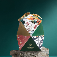 好家郷立方酷比900g蛋黄肉粽梅菜扣肉粽咸鲜肉粽鸭蛋组合装端午礼盒