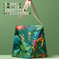 好家郷小森林800g蛋黄肉粽梅菜扣肉粽清香白玉粽咸鸭蛋组合装端午礼盒