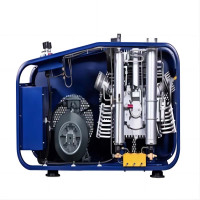 晶霆磊 高压充气泵 DGW12