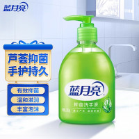 蓝月亮芦荟抑菌洗手液300g 1瓶