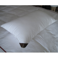 全棉防羽布枕芯1个48*78cm