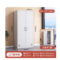 二门更衣柜铁皮柜存包储物柜带锁 850*420*1800mm 1个