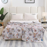 海螺 流光秘语180*200cm重360g被芯JYBX-06A 1条