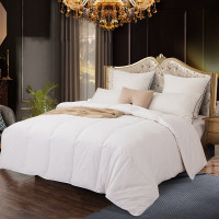 海螺 云端梦羽绒被200*230cm重3000g被芯JYBX-04Y 1条