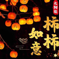 LED柿子小夜灯太阳能款7m/组