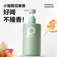 柏缇海藻去屑止痒洗发露505ml 1瓶