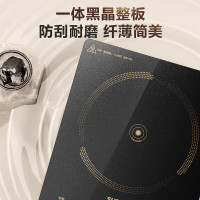 苏泊尔电磁炉 C22-IA822D 1台