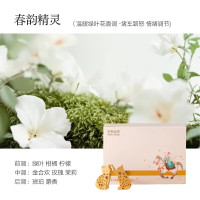 宋朝御猫车载礼盒(春韵精灵)礼盒1套