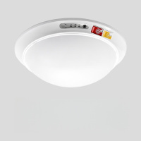 瑾光吸顶灯应急+常亮光源 1个