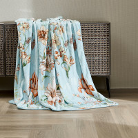 富安娜(FUANNA)单层法兰绒毯-忆辰音150*200cm 1条