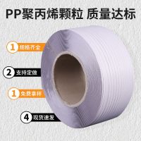 启铭 热熔PP打包带红色宽13.5*厚1mm*长1600m 重10kg