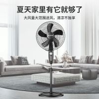 先锋(SINGFUN)电风扇 省电落地扇家用转页定时摇头立台式电扇FS40-16B