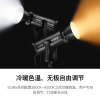 神牛 补光灯LC500/LC1000手持补光灯 手持便携棒灯LC500[双色温版,只有黄白光] 标配