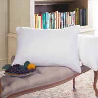 梦洁臻柔享梦对枕 48*74cm*1对