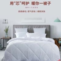 梦洁 舒柔蓬弹二合一被 200*230cm 800g+1500g