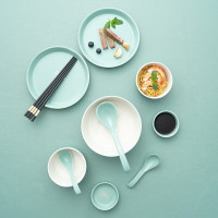 德铂碗碟套装斯图加12件套