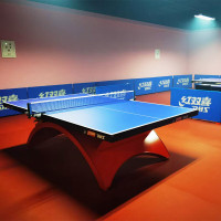 红双喜乒乓球台彩虹ITTF乒联国际大赛标准乒乓球桌 N.TCH彩虹球台(RAINBOW)