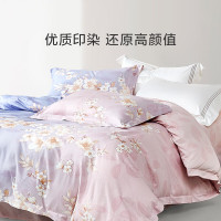 LOVO罗莱WAD0513-4 云梦薇220*250四件套