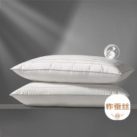 水星家纺 蚕丝枕头A类抑菌护颈椎枕头芯家用软枕头成人一对装48cm*74 cm